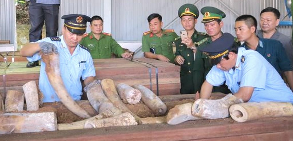 Phó Thủ tướng Trương Hòa Bình giao Bộ CA khẩn trương điều tra vụ 9,1 tấn ngà voi - Hình 1