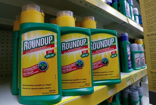 Việt Nam dừng nhập khẩu thuốc trừ cỏ chứa hoạt chất Glyphosate - Hình 1
