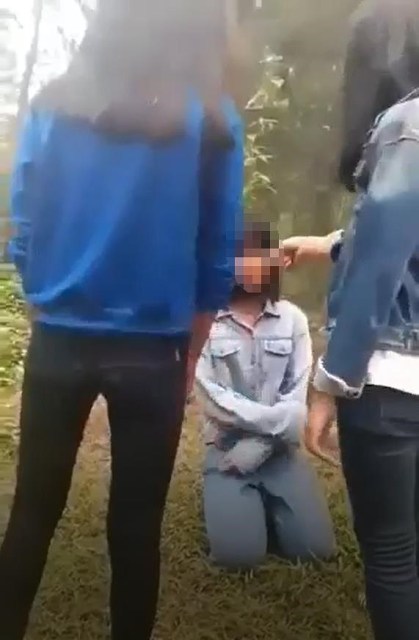 Vụ nữ sinh bị đánh ở Nghệ An: Buộc thôi học 1 tuần với 4 học sinh đánh hội đồng bạn - Hình 1