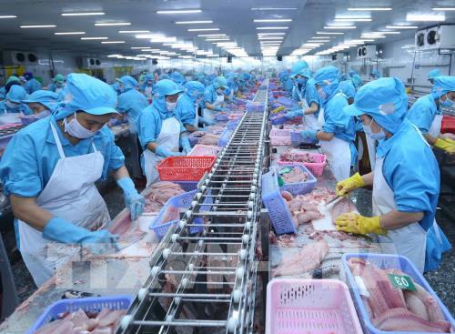 Kinh tế Việt Nam tăng trưởng 6,8% trong năm 2019