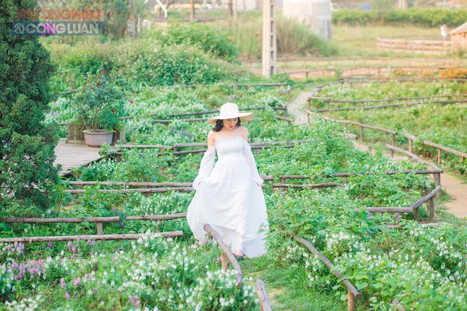 Say đắm nhìn thiếu nữ e ấp trong nắng mới đầu hạ - Hình 5