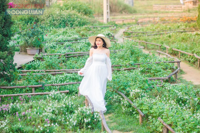 Say đắm nhìn thiếu nữ e ấp trong nắng mới đầu hạ - Hình 4