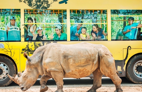 Tê giác con đầu tiên chào đời tại Vinpearl Safari Phú Quốc - Hình 5