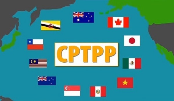Hỗ trợ doanh nghiệp tận dụng các cơ hội mang lại từ CPTPP - Hình 1