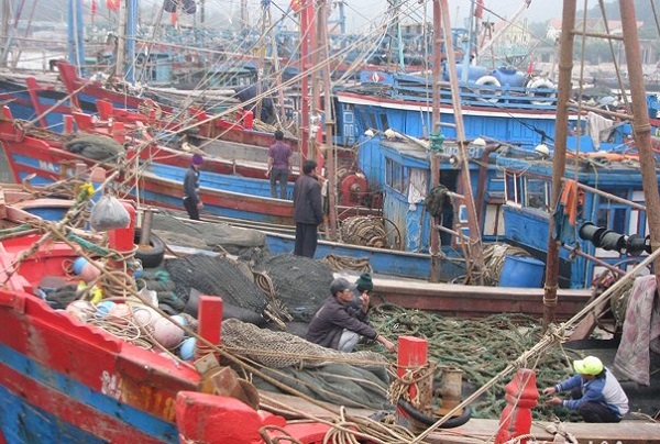 Cứu nạn thành công tàu cá cùng 18 ngư dân gặp nạn - Hình 1