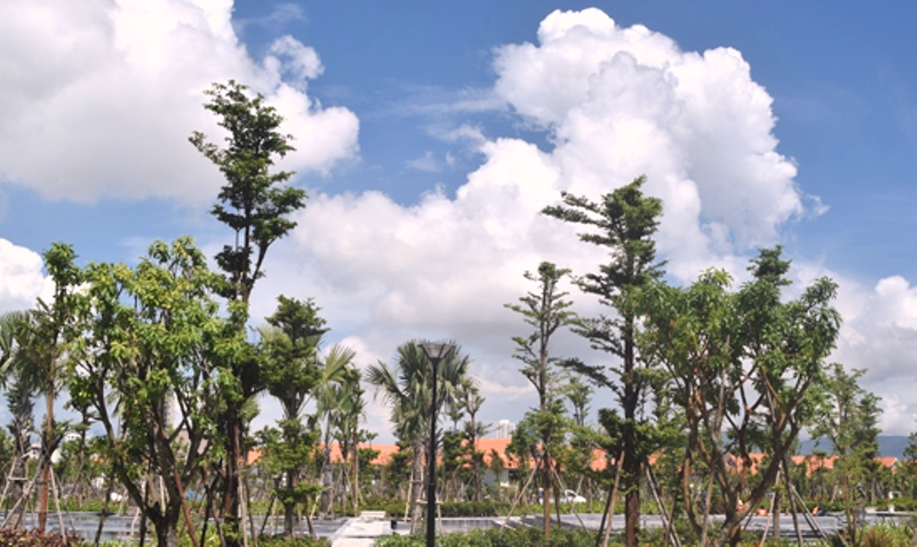 Đà Nẵng: Đầu tư 14 tỷ đồng mở đường xuống biển giữa Furama Resort và khu Ariyana - Hình 1