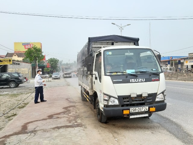 Nghệ An: Phát sinh ổ dịch tả lợn châu Phi thứ 8