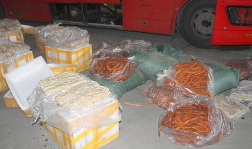 Quảng Ninh: Thu giữ hơn 1 tấn lòng lợn khô không rõ nguồn gốc