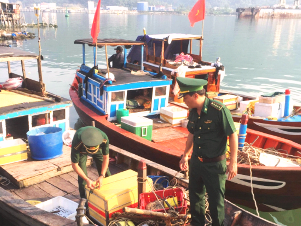 Đà Nẵng: Bắt nhiều phương tiện sử dụng kích điện đánh bắt cá trên biển