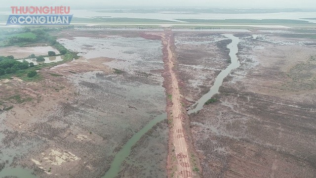 Vân Đồn – Quảng Ninh: Dự án xây xong phát hiện hơn 23ha rừng ngập mặn “bốc hơi” - Hình 4