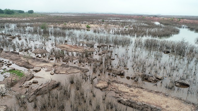 Vân Đồn – Quảng Ninh: Dự án xây xong phát hiện hơn 23ha rừng ngập mặn “bốc hơi” - Hình 5