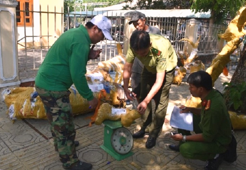 Xe bưu phẩm chở gỗ lậu trên cao tốc Đà Nẵng – Quảng Ngãi