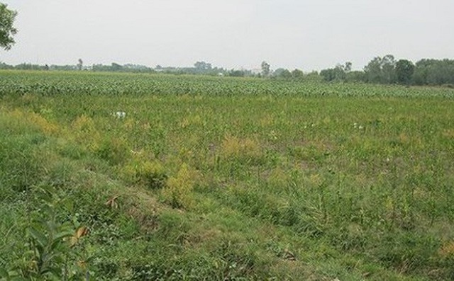 Bà Rịa – Vũng Tàu: 138 dự án chậm triển khai chính thức bị thu hồi