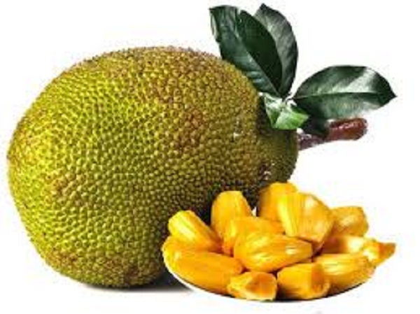 Truy xuất nguồn gốc trái cây Việt Nam xuất khẩu vào thị trường Trung Quốc - Hình 3