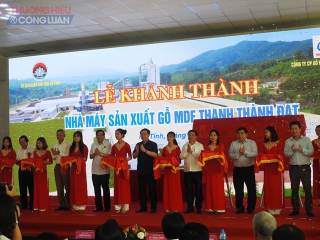 Phó thủ tướng dự lễ khánh thành Nhà máy gỗ MDF Thanh Thành Đạt - Hình 3