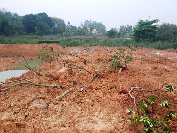 Vĩnh Phúc: Người dân liên tiếp “tố” cán bộ phường làm sai quy trình?