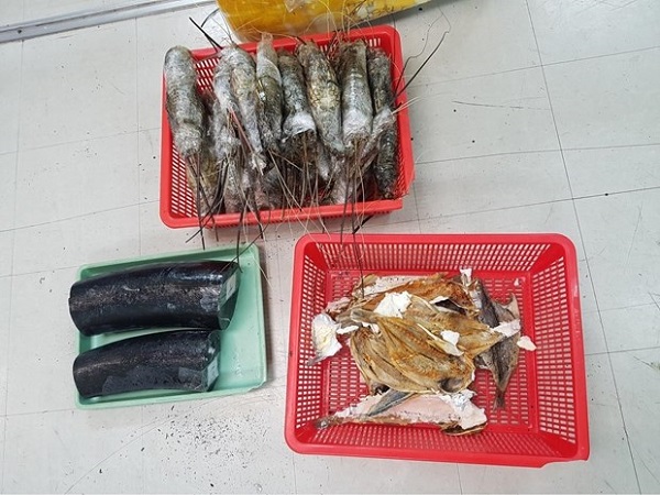 Hải quan TP. HCM: Bắt một đối tượng vận chuyển trái phép ngà voi