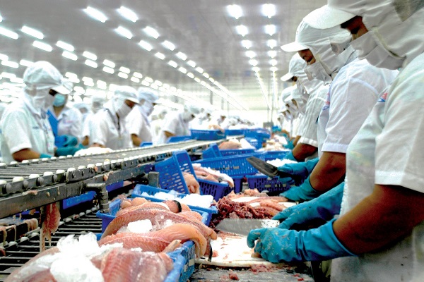 Mỹ tăng thuế chống bán phá giá với cá tra Việt Nam - Hình 1