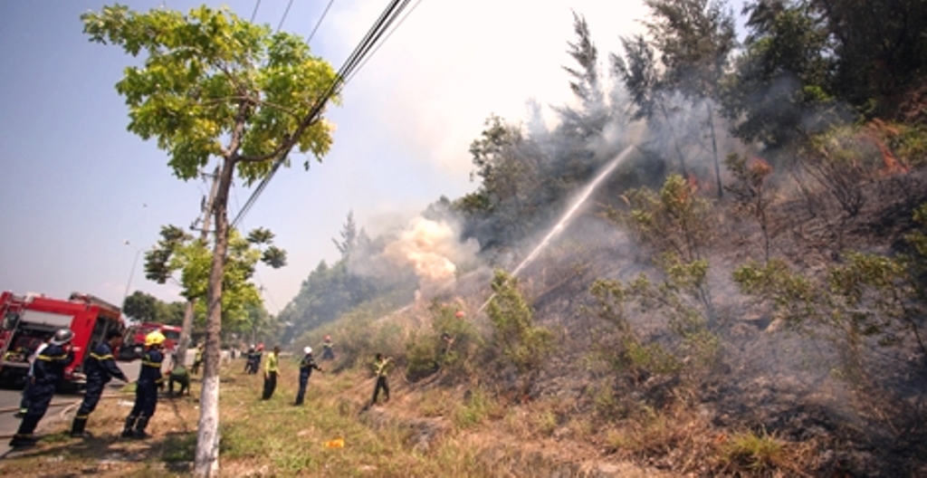 Đà Nẵng: Chi cục Kiểm lâm cảnh báo nguy cơ cháy rừng trên diện rộng - Hình 3