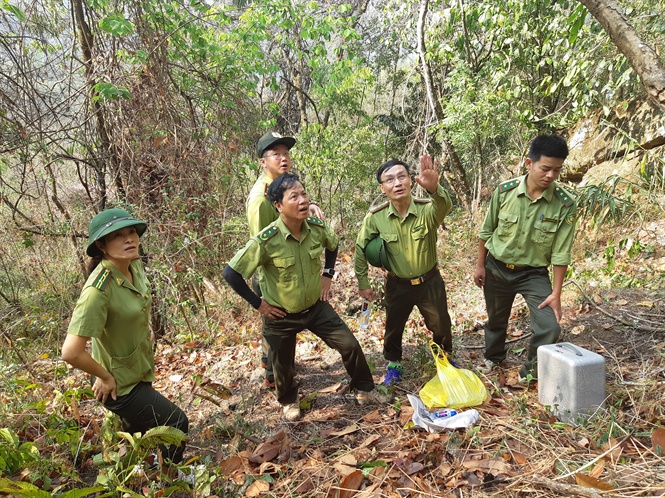 Đà Nẵng: Chi cục Kiểm lâm cảnh báo nguy cơ cháy rừng trên diện rộng - Hình 2