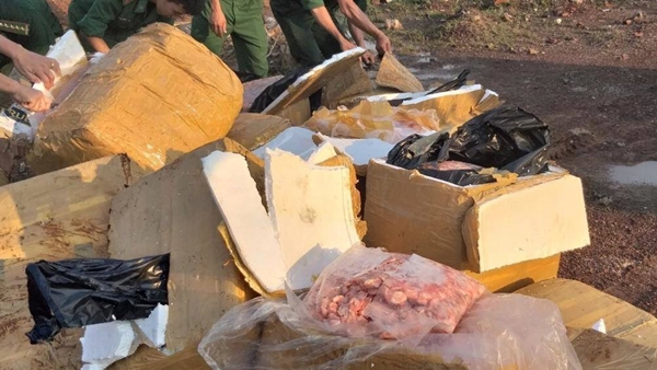 Quảng Trị: Phát hiện hơn 1 tấn gân gà hôi thối cất giấu bên lề đường