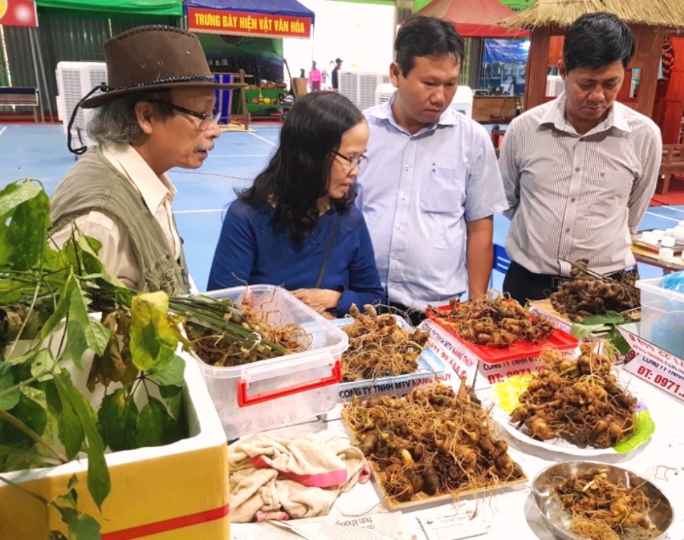 Quảng Nam: Phiên chợ sâm Ngọc Linh thu về 4,4 tỷ đồng, 1.000 lượt khách mua sắm - Hình 1