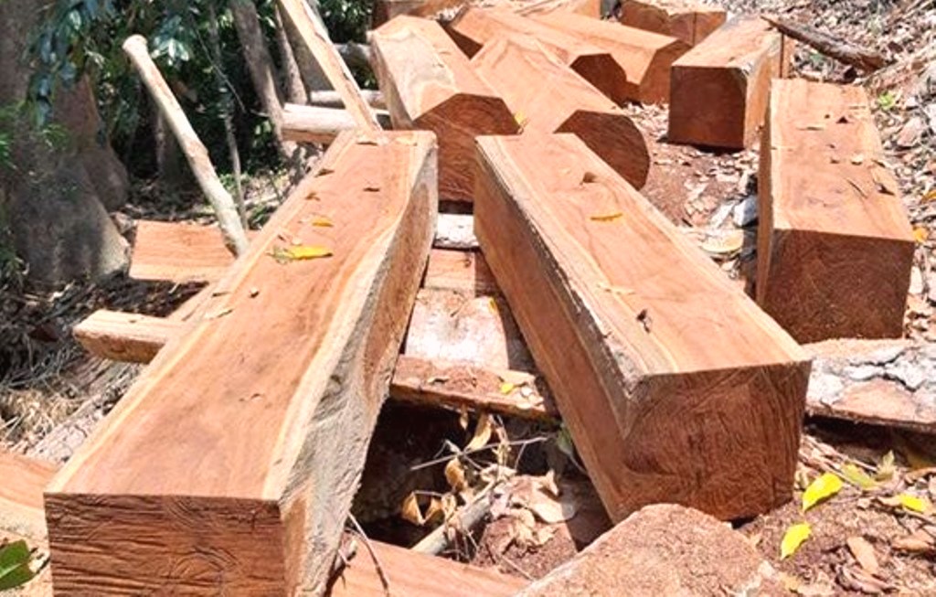 Quảng Nam: Phát hiện 2 vụ phá rừng tự nhiên tại huyện Nam Giang - Hình 3