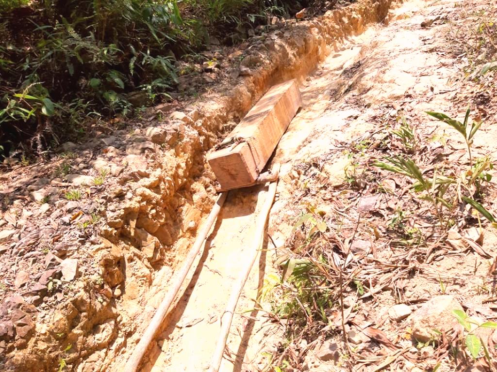 Quảng Nam: Phát hiện 2 vụ phá rừng tự nhiên tại huyện Nam Giang - Hình 2
