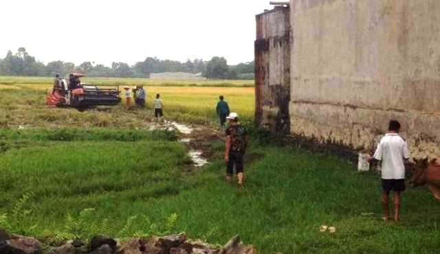 Huyện Triệu Sơn (Thanh Hóa): Cần xử lý nghiêm các đối tượng "bảo kê" gặt lúa, hành hung người dân