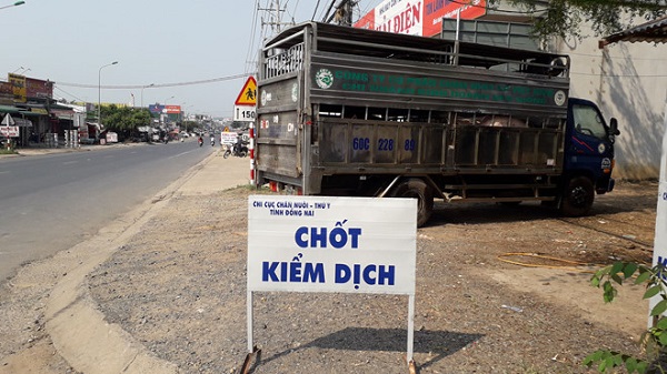 Đồng Nai xuất hiện dịch tả lợn châu Phi ở huyện Trảng Bom