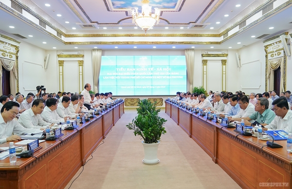 Thủ tướng chủ trì họp Tiểu ban KT-XH với TP.HCM và một số địa phương - Hình 4