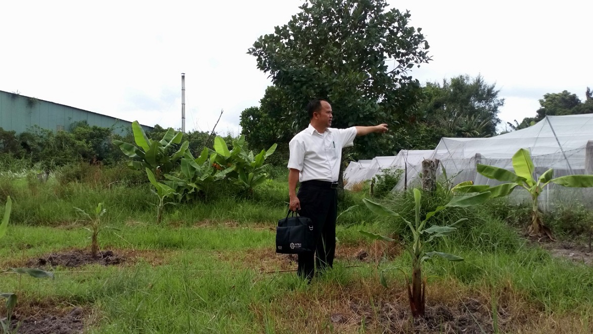 Cơ quan THADS TP. HCM: Nhùng nhằng một vụ thi hành án?