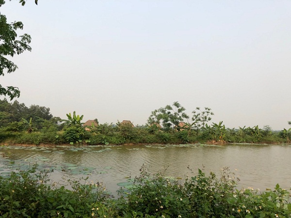 Quốc Oai: Một dự án 11 năm chưa triển khai được vì sự thờ ơ của Chính quyền