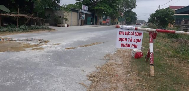 Nghệ An: Trong vòng 9 ngày, huyện Diễn Châu xuất hiện 7 ổ dịch tả lợn châu Phi