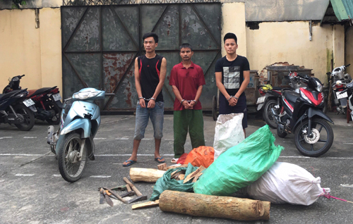 Thanh Hóa: Lợi dụng đêm tối, 3 đối tượng gây ra 10 vụ trộm cắp gỗ sưa