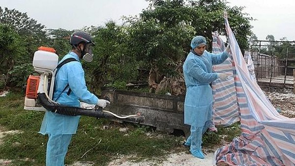 Hà Nội: Cấp bổ sung 84.929 lít hóa chất cho phòng, chống bệnh dịch tả lợn châu Phi