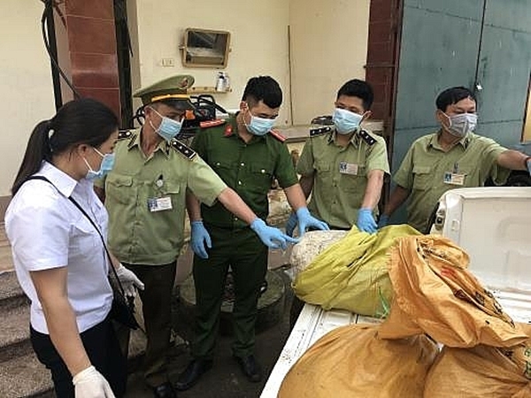 Lạng Sơn: Đột kích xưởng chế biến, phát hiện 800 kg lòng lợn thối - Hình 1