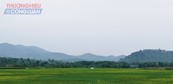 Nước mắt người giữ rừng dưới chân núi Tam Đảo – Kỳ 4: Để những cánh rừng mãi xanh - Hình 1