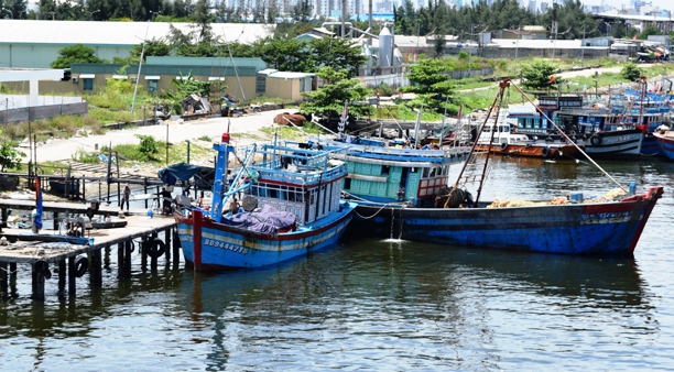 Nghệ An: 2 doanh nghiệp gian lận trong đấu thầu ở Đà Nẵng