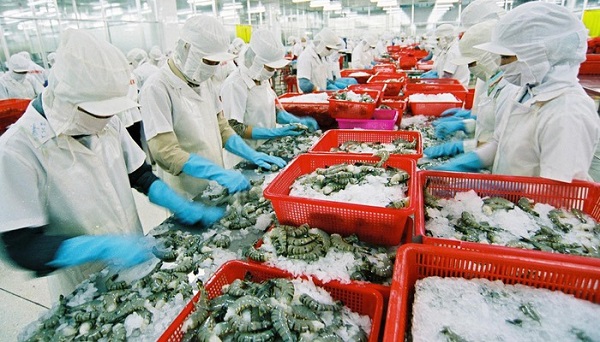 Tận dụng thuận lợi từ các FTA, tôm Việt tăng xuất khẩu sang Nhật Bản - Hình 1