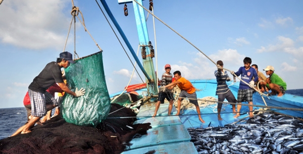 Tàu cá nước ngoài đánh bắt thủy sản trái phép tại vùng biển Việt Nam có thể bị phạt 1 tỷ đồng - Hình 1