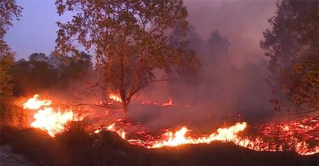Quảng Bình: Hơn 15 ha rừng phòng hộ bị “bà hỏa” ghé thăm - Hình 2
