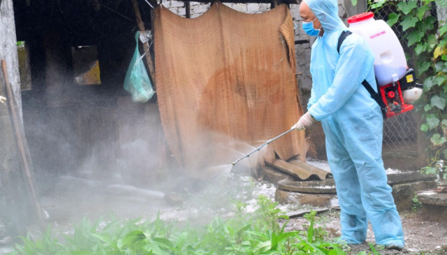 Nghệ An: Thêm 2 địa phương xuất hiện dịch tả lợn châu Phi