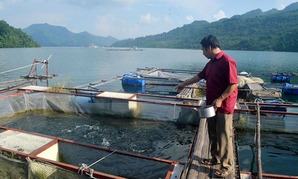 Hà Nội: Siết chặt quản lý nuôi trồng thủy sản lồng, bè trên sông - Hình 1