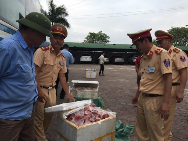 Hà Tĩnh: Hơn 200 kg thịt lợn không rõ nguồn gốc xuất xứ trên xe khách - Hình 1