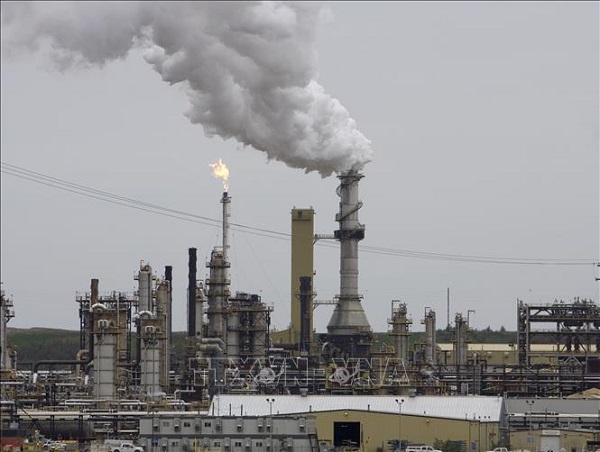 Giá dầu ngày 23/5: Sụt giảm mạnh