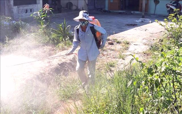 Quảng Nam: Dịch tả lợn châu Phi có nguy cơ lan rộng