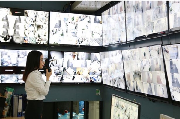 Quý I/2019, TNS Holdings đạt doanh thu gần 109 tỷ đồng