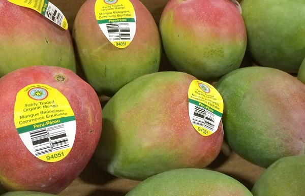 Xoài Việt, từng bước khẳng định tại thị trường Mỹ