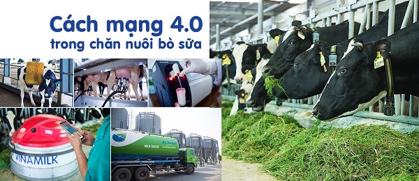 Một vòng khám phá trang trại ‘thông minh’ của Vinamilk